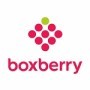 Noventiq has implemented a service for automated fraud detection and elimination in Boxberry